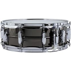 Ludwig Black Beauty